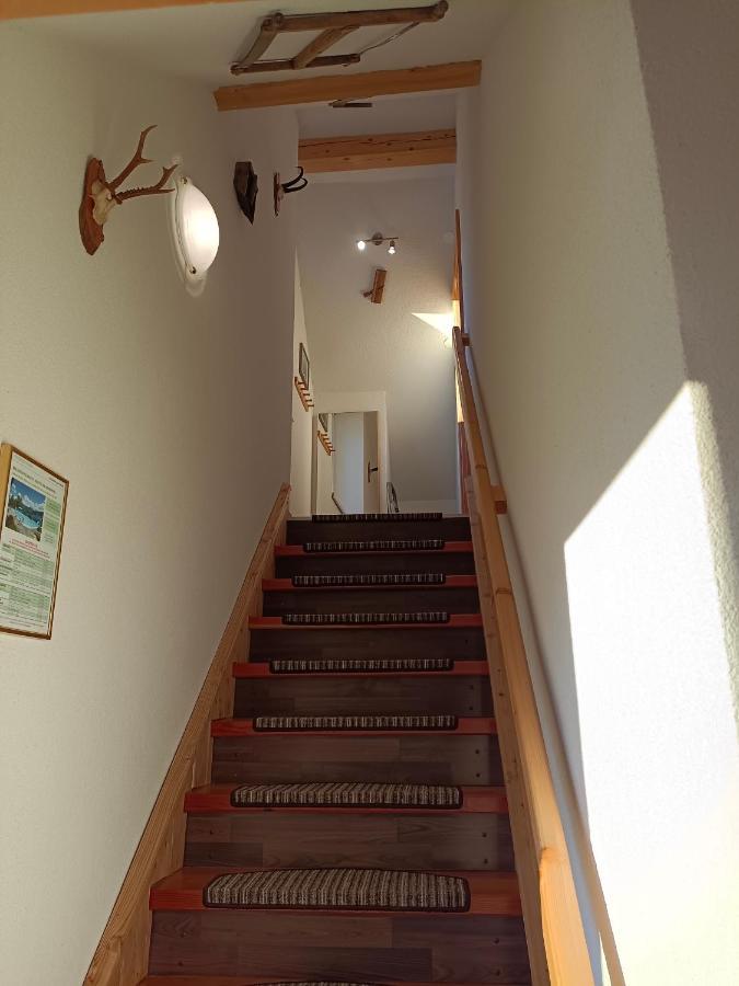 Ferienwohnung Stockenhuber Sankt Martin am Grimming Εξωτερικό φωτογραφία